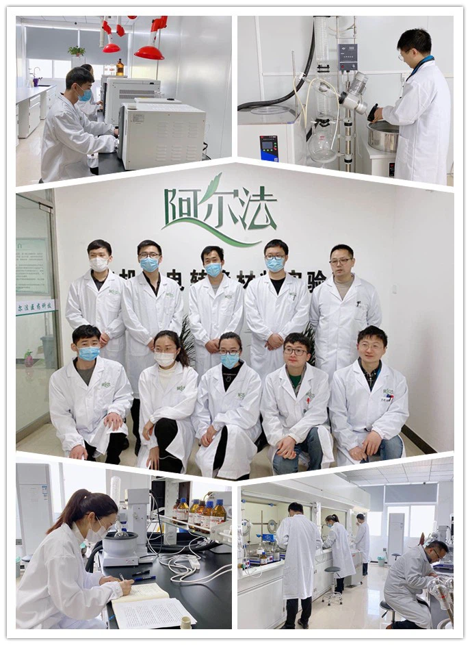 Clostridium Butyricum